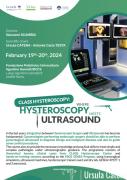 Hysteroscopy meets Ultrasound 2024